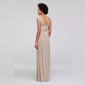 David's Bridal Lace Dress with Long Mesh Skirt - biscotti